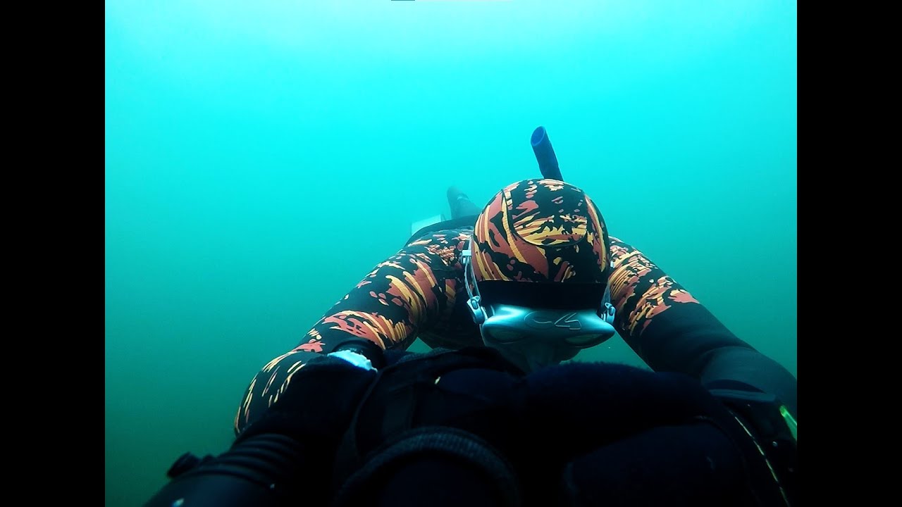 Diving Edmonds Dive park YouTube