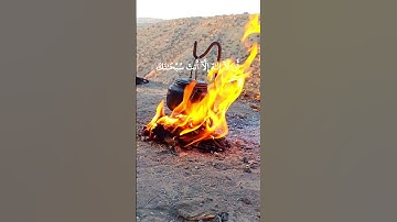 القارئ عبد الباسط عبد الصمد القرآن الكريم #تصويري #المصحف #عبدالباسط_عبدالصمد #لايك #اكسبلور