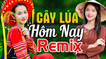 HÁT VỀ CÂY LÚA HÔM NAY REMIX - LK Nhạc Đỏ Cách Mạng Kháng Chiến Remix Bass Căng Bốc Lửa
