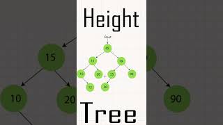Height Of Tree Datastructure