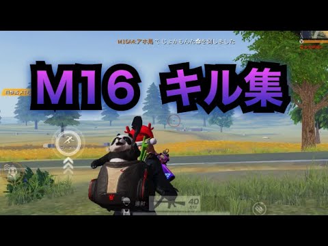 【荒野行動】M16 only キル集