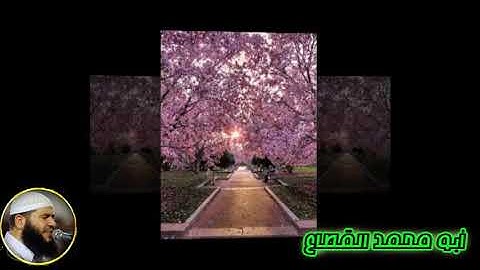 08 القارىء غسان الشوربجي سورة الأنفال