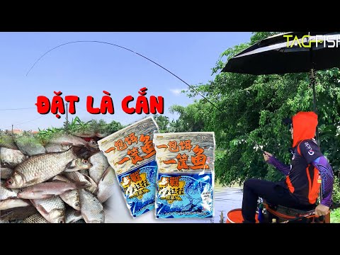 Video Gẩy Diếc Cực Phê Với Bài Mồi Tổng Hợp Diếc Chép Của... - youtube