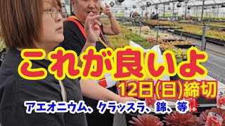 【多肉植物】【ガーデニング】これが良いよ🎵少し水持ちの良い土‼️5月12日(日)締切‼️2024年5月8日