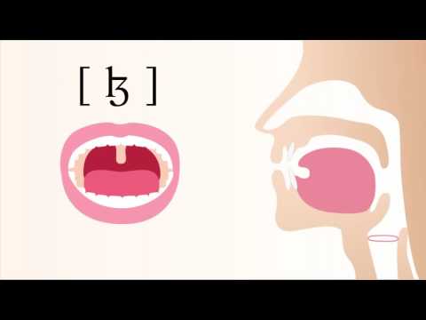 [ ɮ ] voiced apical alveolar lateral fricative