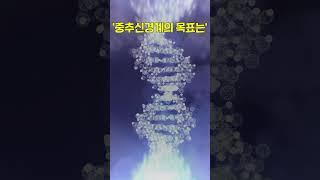 99%는 놓치고 있는 뇌 활용법😢 #shorts