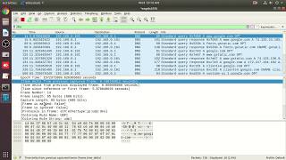DNS Analysis Using Wireshark