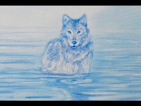 How to Draw a Wolf