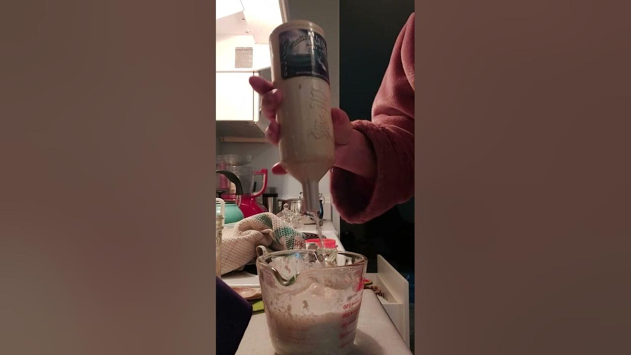 Sourdough Starter, GLUTEN FREE, Quinoa Grains to Flour YouTube