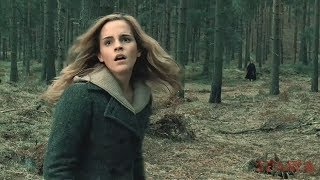 BEST COUBs #72 I Mega Coub, Лучшие Приколы I This is Спарта BEST COUBs #72 I Mega Coub, Лучшие Приколы I This is Спарта