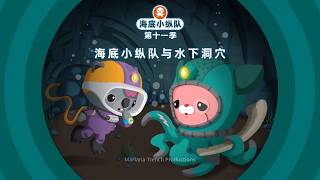 Octonauts & The Aqua Caves | ENGLISH A&B Season 6 / Season 11 | FULL EPISODE | New