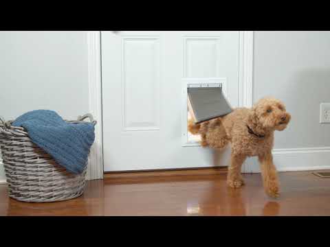 Vidéo: Comment hiverner une porte coulissante avec une porte pour chien