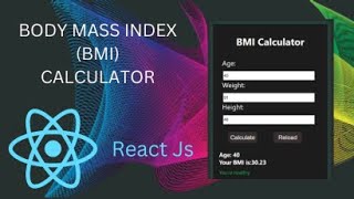 How to create a BMI calculator with React (EXPLAINED) screenshot 4