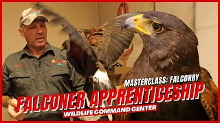 Getting Ready for Falconry Hunt | Wildlife Command Center - Ep. 2