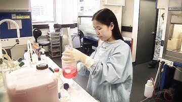 Winner - Biomedical - Levon Khachigian