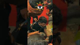 Download Lagu BANTENG PENATAS OFFICIAL #mberot #bantengan #pencaksilat #bantenganmalang MP3