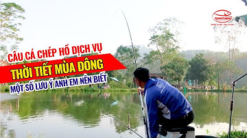 Câu cá chép hồ dịch vụ thời tiết Mùa Đông - Một số lưu ý anh em nên biết