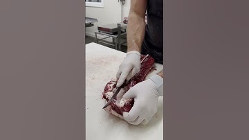 Deer Backstrap 🦌 #shorts #deer #venison