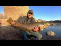 Catching monster trout at a mountain lake  delicious fish tacos