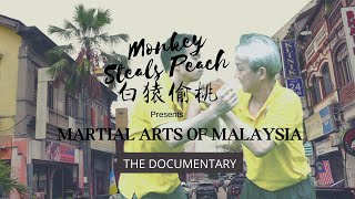 The Iron Body of Malaysian Shaolin