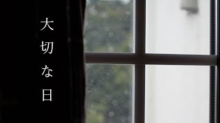 【暮らしのVlog】あったかい台所/大切な家族/ささやかなお祝い/猫さん