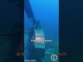 Cobra Helicopter from Jordan’s Underwater Museum is Incredible! 🚁