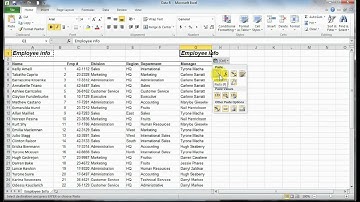 Excel 2010 Beginner: Unit 3 Lesson A - Moving Data