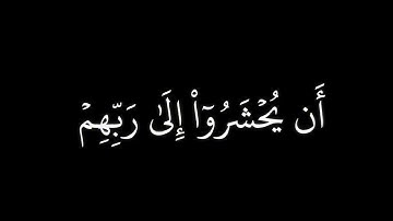 محمد صديق المنشاوى-سورة الانعام-كروما سوداء