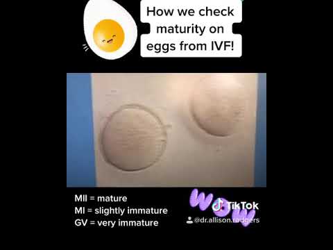 Video: IVF -i munade kvaliteedi parandamine: 11 sammu (piltidega)