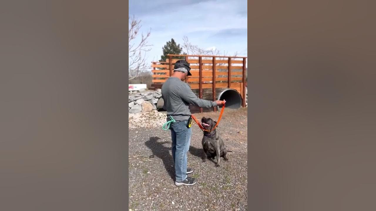 Cradle Technique Video 2 of 4 YouTube