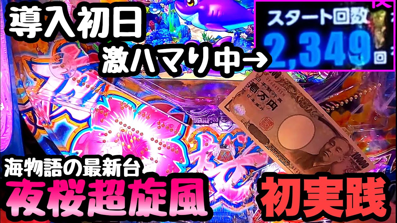 海物語最新台導入初日から鬼ハマりしてた台を打ってみた結果 Pスーパー海物語 In 沖縄5 夜桜超旋風 Youtube