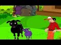Baa Baa Black Sheep The Joy Of Sharing Baa Baa Black Sheep The Joy Of Sharing