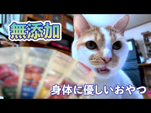 【無添加】猫の健康を考えて無添加おやつに変えてみた！おやつ大好きな猫たちの意外な反応とは！?