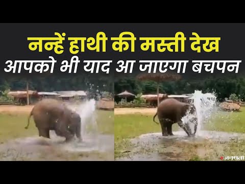 Baby Elephant Viral Video: हाथी के बच्चे को पानी से खेलता देख, आप भी हो जाएंगे दीवाने