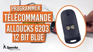 Programmation Télécommande ALLDUCKS 6203 12 bit blue