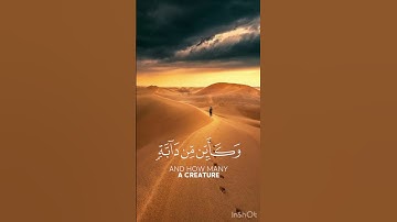 المنشاوي تلاوة منفرده #القرآن_الكريم #حالات_اسلامية #السعودية #المنشاوي #حالات #يوم_الجمعة #تلاوات