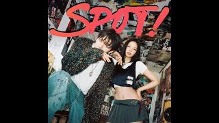 ZICO - ‘SPOT!’ feat. JENNIE [ADLIBS ISOLATED] 2024