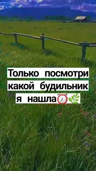 Будильник из Гарри Поттер - YouTube
