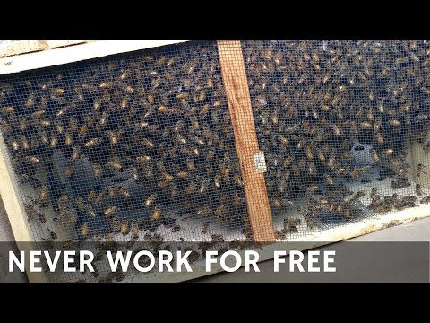 Never work for free!