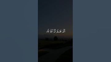 أَلَمْ تَعْلَمْ أَنَّ اللَّهَ لَهُ مُلْكُ السَّمَاوَاتِ وَالْأَرْضِ ۗ || سورة البقرة #علاء_عقل 🤍🌱