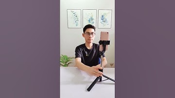 Review gậy chụp ảnh kiếm hàng chục củ hàng tháng