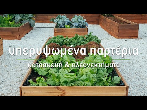 Βίντεο: Πώς να δημιουργήσετε ένα συνεχές ανθισμένο παρτέρι στον κήπο