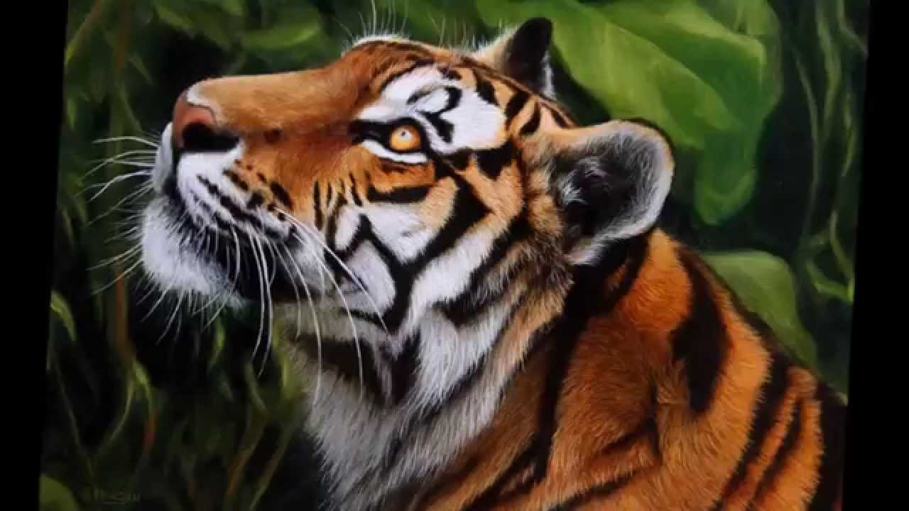 Youtube Survivor Eye Of The Tiger