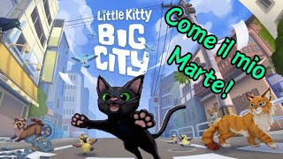 Little Kitty Big City _ Un'avventura particolare