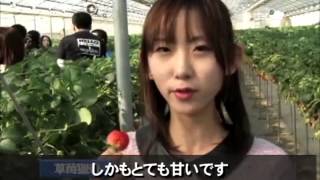 震災から2年 バスツアーで見るいわき