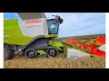 Profi Terra Kettenantrieb Von Claas Ohne Probleme Bei Nassen Mooracker Lexion 670 Beim Dreschen Profi Terra Kettenantrieb Von Claas Ohne Probleme Bei Nassen Mooracker Lexion 670 Beim Dreschen