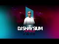 DJ Shay Sium Dancehall Mashup שי סיום משאפ דאנסהול DJ Shay Sium Dancehall Mashup שי סיום משאפ דאנסהול