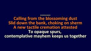 At The Drive-In - Hostage Stamps - Karaoke Instrumental Lyrics - ObsKure