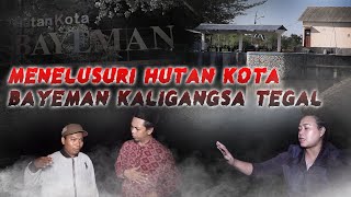 MISTERI POLDER BAYEMAN | Legenda Tanah Jawa #26