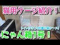 猫用ケージ「にゃん箱1号」の紹介！トイレ付きで収納をたくさんできて便利です！